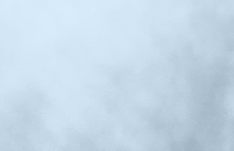 Opportunity Snapshot